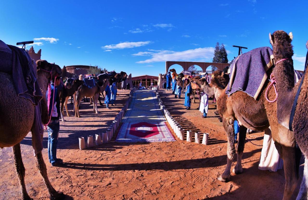 מרזאוגה Palmeras Y Dunas Luxery Camp מראה חיצוני תמונה